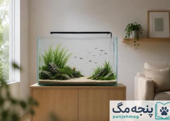 یه آکواریوم آب شیرین مینیمال و زیبا با ماهی‌های رنگارنگ تو یه اتاق نشیمن دنج - راهنمای پنجه مگ